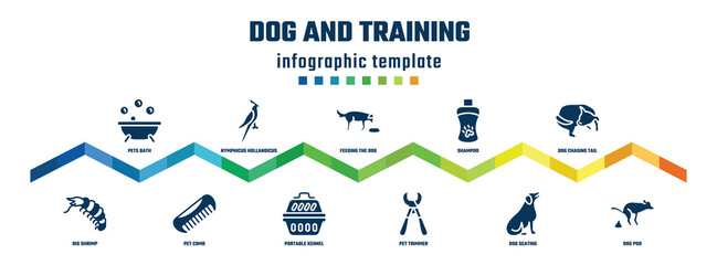 dog and training concept infographic design template. included pets bath, big shrimp, nymphicus hollandicus, pet comb, feeding the dog, portable kennel, shampoo, pet trimmer, dog chasing tail, poo