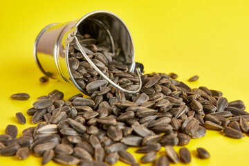 A small bucket filled with sunflower seeds on a yellow background.