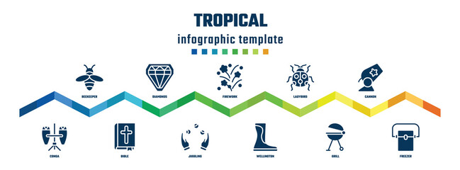 tropical concept infographic design template. included beekeeper, conga, diamonds, bible, firework, juggling, ladybird, wellington, cannon, freezer icons.