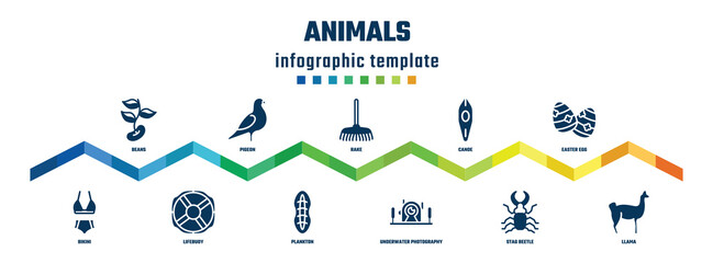 animals concept infographic design template. included beans, bikini, pigeon, lifebuoy, rake, plankton, canoe, underwater photography, easter egg, llama icons.