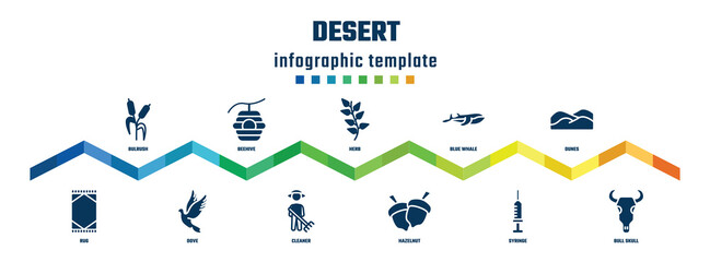 desert concept infographic design template. included bulrush, rug, beehive, dove, herb, cleaner, blue whale, hazelnut, dunes, bull skull icons.