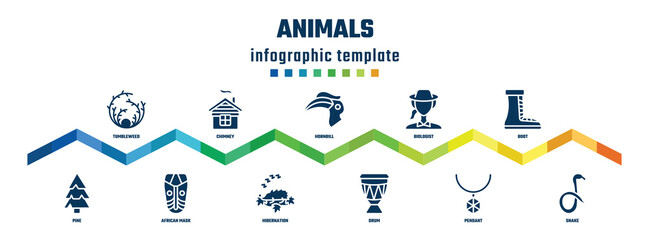 animals concept infographic design template. included tumbleweed, pine, chimney, african mask, hornbill, hibernation, biologist, drum, boot, snake icons.