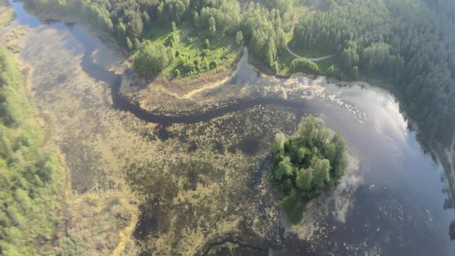 View from the drone on Lake Komosa on a sunny day among the forests of Podlasie.