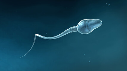 Circular movement forward of a single, slightly transparent, scientifically correct sperm on blue background - 3d illustration