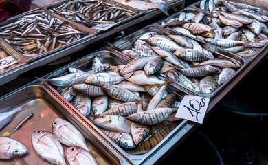 fish on a city seafood market during trading day, fish trader during his work with sea goods on trading floor, lifestyle of a marine port worker closeup