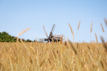 Fototapeta premium Authentic ukrainian windmill on grass field countryside landscape