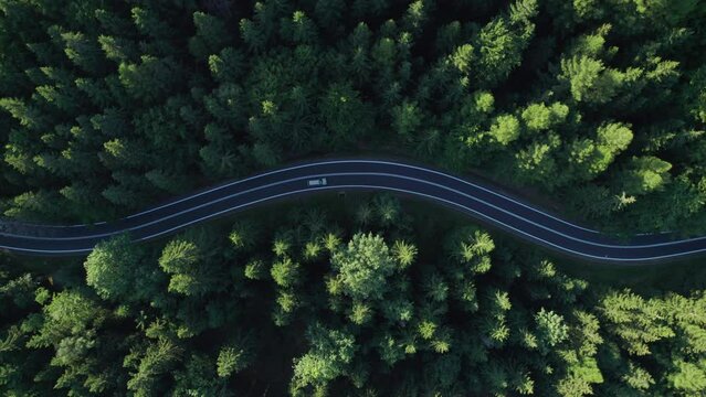 aerial view of the mountain road in a green forest