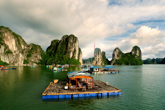 Floating fishing village and rock island in Halong Bay, Vietnam, Southeast Asia. UNESCO World Heritage Site. Junk boat cruise to Ha Long Bay. Landscape. Popular landmark, famous destination of Vietnam