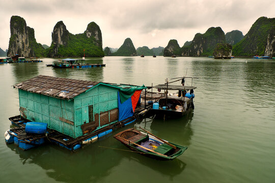 Floating fishing village and rock island in Halong Bay, Vietnam, Southeast Asia. UNESCO World Heritage Site. Junk boat cruise to Ha Long Bay. Landscape. Popular landmark, famous destination of Vietnam