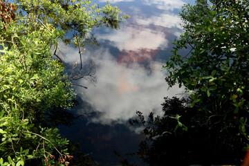 Cloudy Blue Sky Reflected in a Lake Surface