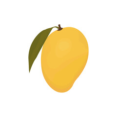 Yellow sweet mango fruit with leaves. Vector illustration.