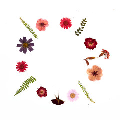 Frame from pressed and dried summer flowers