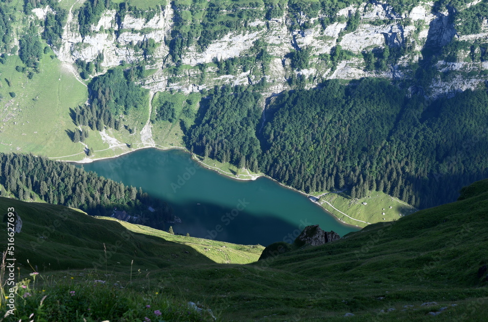 Wall mural appenzell en juillet