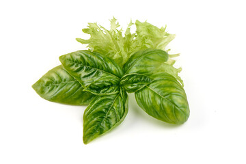 Fresh condiments and herbs bouquet, basil, lettuce, isolated on white background.