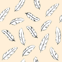 pattern sketch, white feathers on a pink background