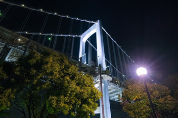 東京都港区 夜の芝浦南ふ頭公園、レインボーブリッジ主塔