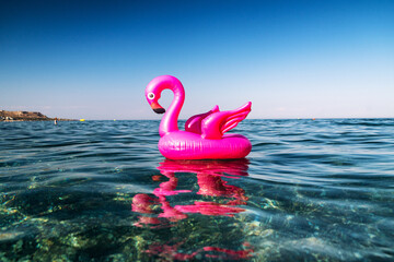 pink flamingo inflatable on the sea