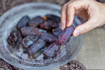 A female hand holds a large purple date of the medjoul variety.