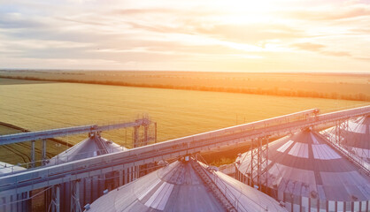 Grain elevator. Metal grain elevator in agricultural zone. Agriculture storage for harvest. Grain silos on green nature background. Exterior of agricultural factory. Sunset warm light. Nobody. © panophotograph