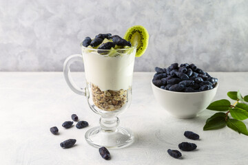 Fototapeta na wymiar Muesli, yogurt, honeysuckle and kiwi in a transparent glass. Delicious and healthy breakfast