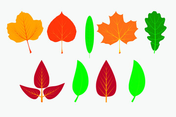Set of vector tree leaves