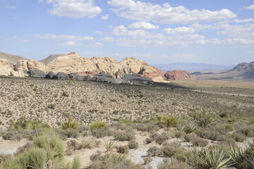 stunning red rock canyon landscape