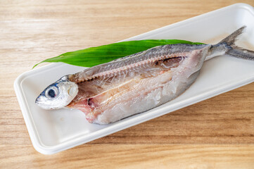 背開きのトビウオ