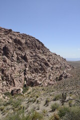 stunning red rock canyon landscape