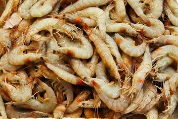 Fresh freshly caught shrimp on the counter of the fish market