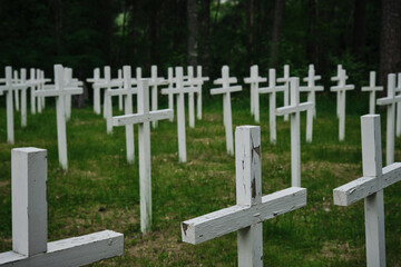 Naklejka premium Lumivaara, Republic of Karelia. Old abandoned Finnish cemetery in Russia. Burial culture. Minimalistic background. White wooden crosses stand in row and green manicured lawn.