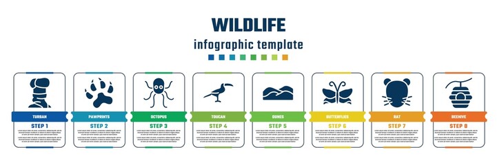 wildlife concept infographic design template. included turban, pawprints, octopus, toucan, dunes, butterflies, rat, beehive icons and 8 steps or options.