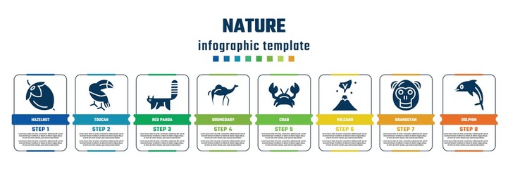 nature concept infographic design template. included hazelnut, toucan, red panda, dromedary, crab, volcano, orangutan, dolphin icons and 8 steps or options.