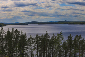 Sweden Forest and lakes 