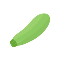 Green fresh zucchini. Useful tasty vegetable. Healthy food. Vegetable fiber. Agricultural harvest. Flat vector illustration isolated on white background