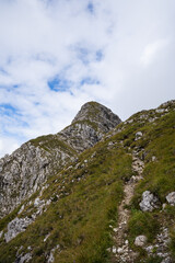 Fototapeta na wymiar Tiny path in the Alps