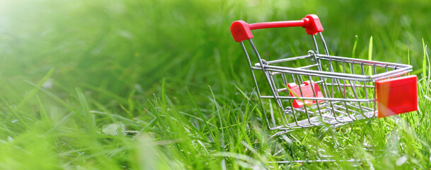 Empty small shopping cart on green grass in summer. Shopping trolley. World crisis. Internet sales...
