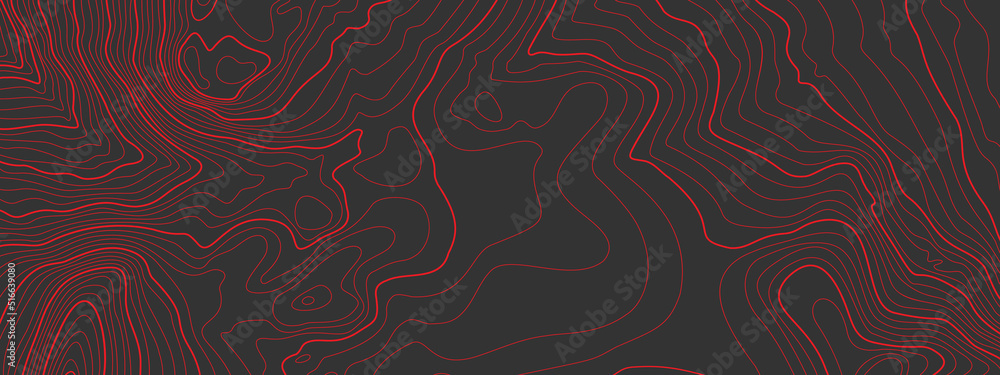 Fototapete the stylized height of the topographic map contour in lines and contours. the concept of a condition