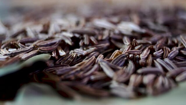 Spices. Close up Dried cumin seeds. Fennel spices