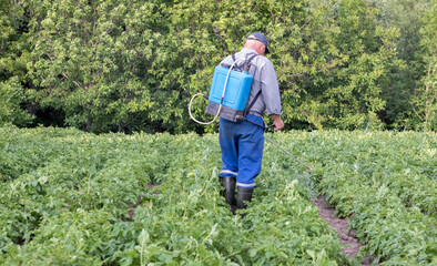 A farmer applying insecticides to his potato crop. Legs of a man in personal protective equipment for the application of pesticides. A man sprays potato bushes with a solution of copper sulphate.