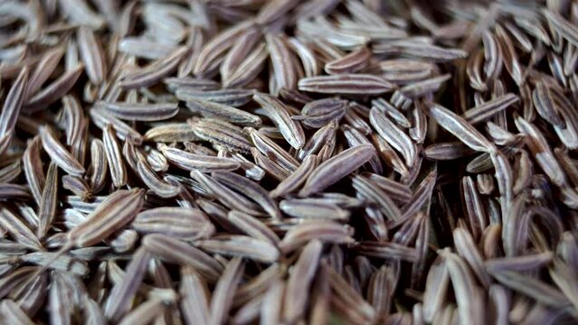 Close-up of cumin seeds. Cumin spices. Aromatic spices.
