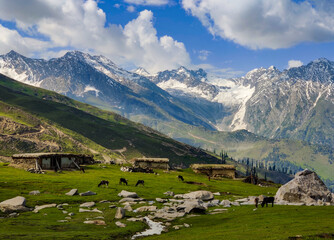 Fototapeta na wymiar snowy Mountains with grass roof huts and animals greenery countryside tourism adventure pakistan