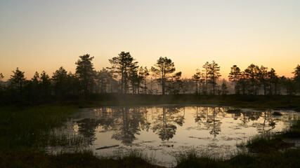 Obraz na płótnie Canvas sunrise dawn on the swamp. Reflections of trees in lakes. Sunset, warm light and fog. Viru swamps Estonia