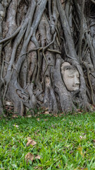 The historical city of Ayutthaya in Thailand