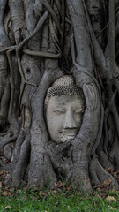 Fototapeta na wymiar The historical city of Ayutthaya in Thailand