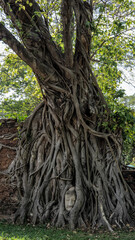 The historical city of Ayutthaya in Thailand