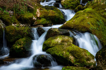 waterfall in the forest