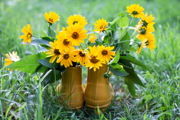 yellow flowers in a vase