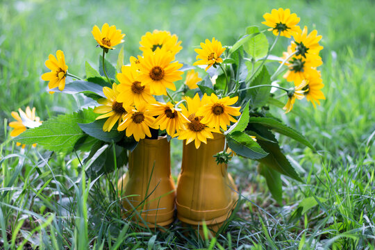Yellow Flowers In A Vase
