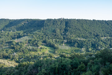 Exterior shot of beautiful mountain gorge with green forest with blue sky in background