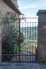View through metal lattice gate of  ancient stone building to the bush of red delicate oleander...